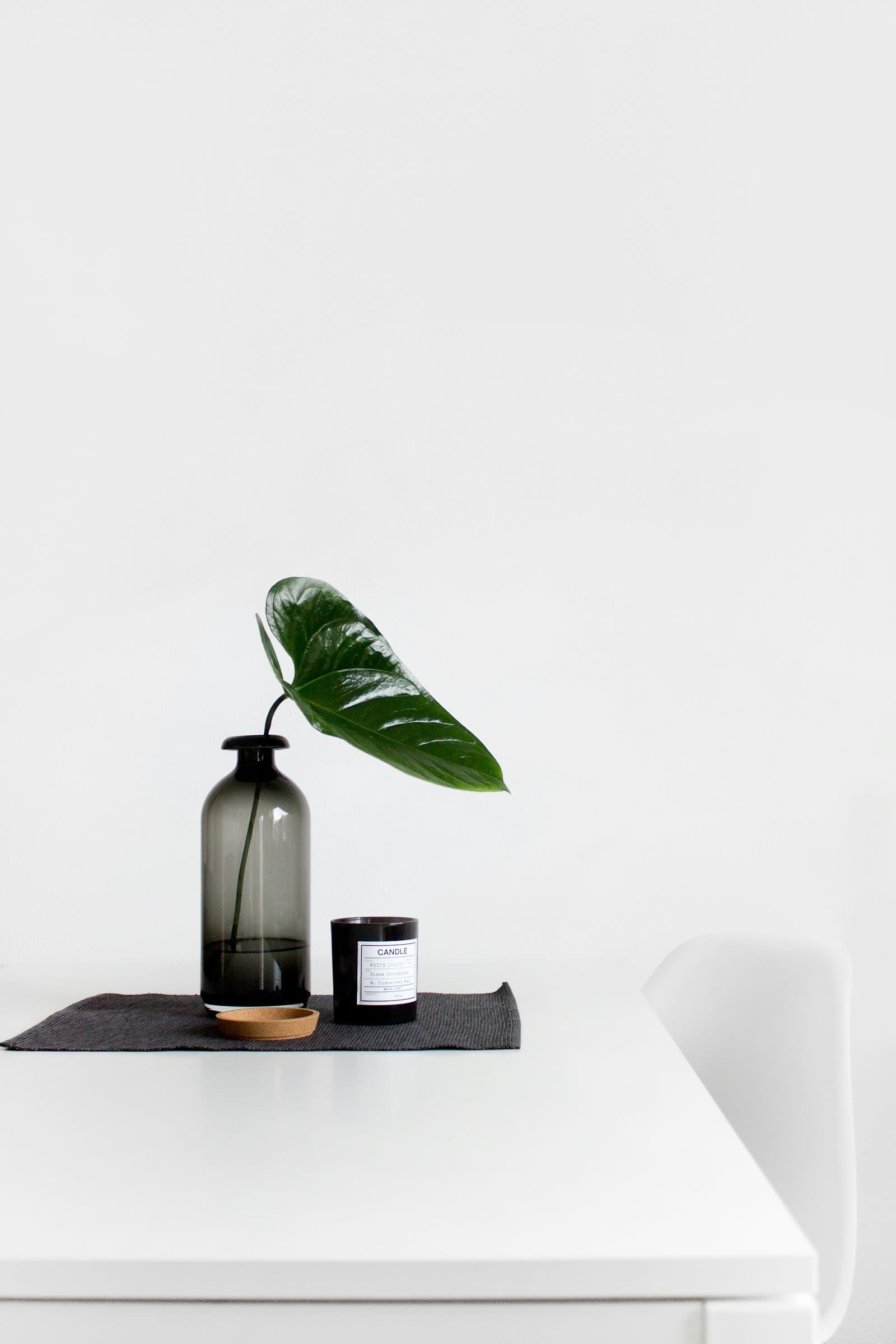 Nature & Botanique