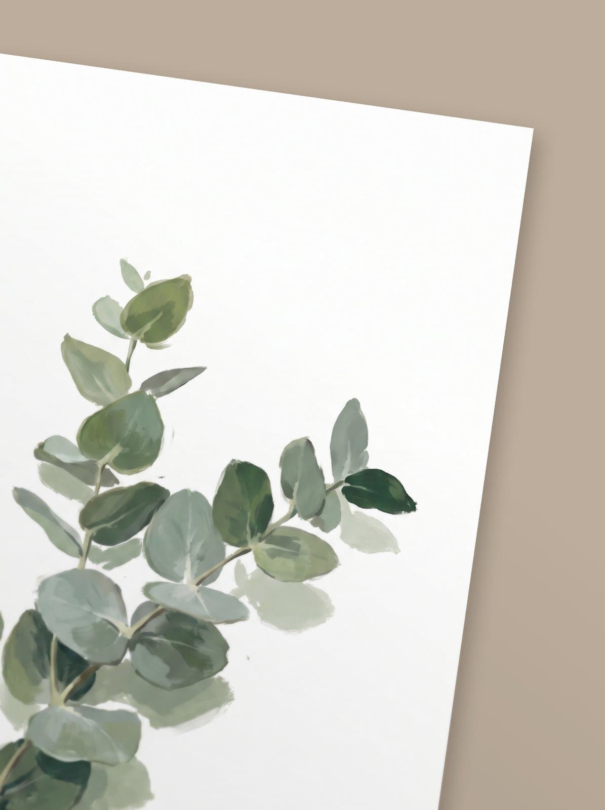 Eucalyptus — mise en situation