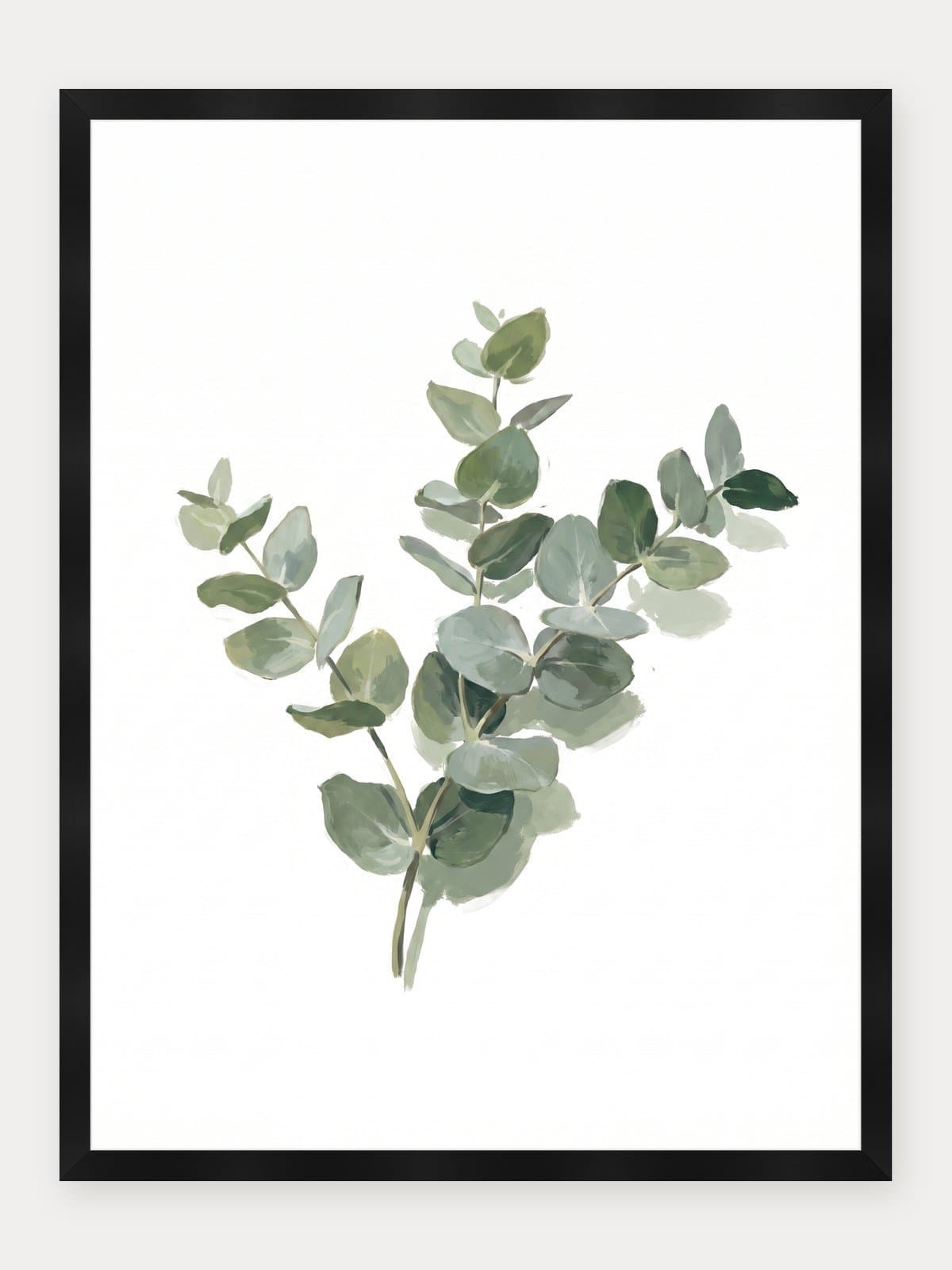 Eucalyptus