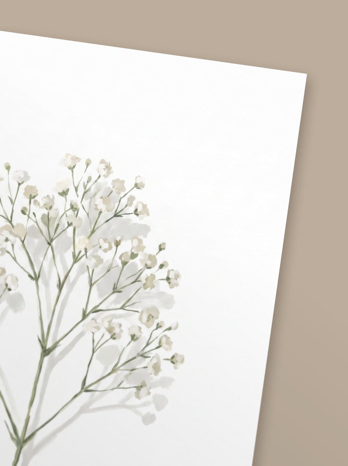 Gypsophila — mise en situation