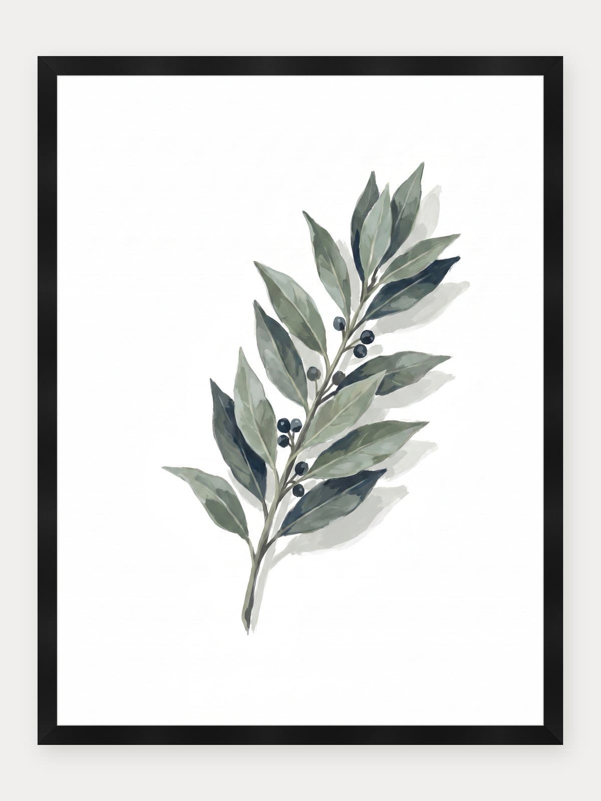 Laurus