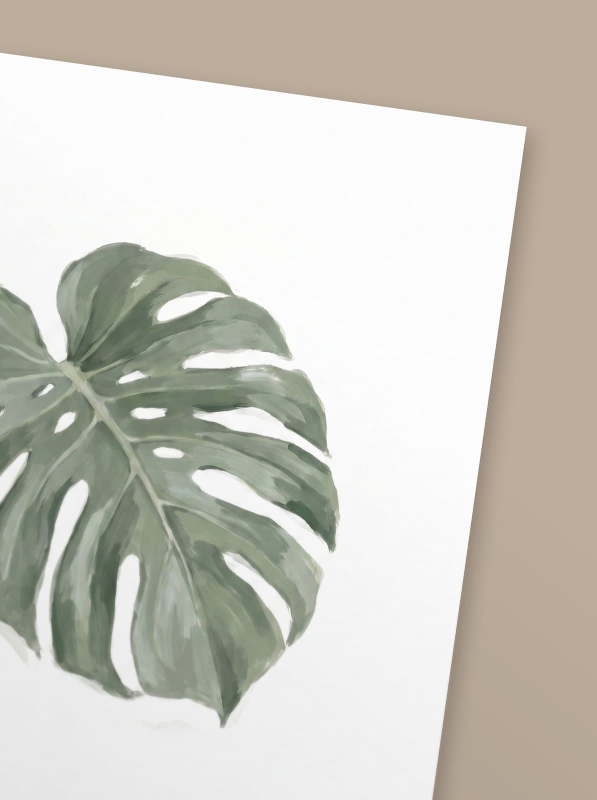 Monstera — mise en situation