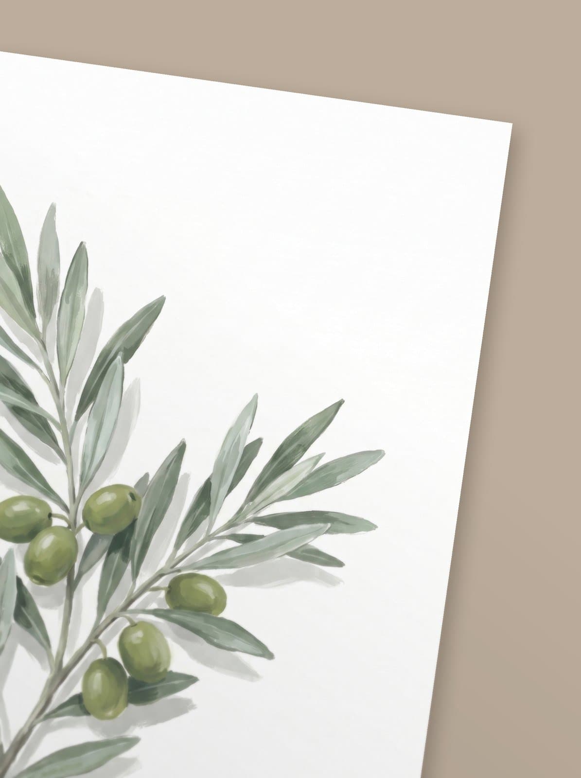 Olea — mise en situation