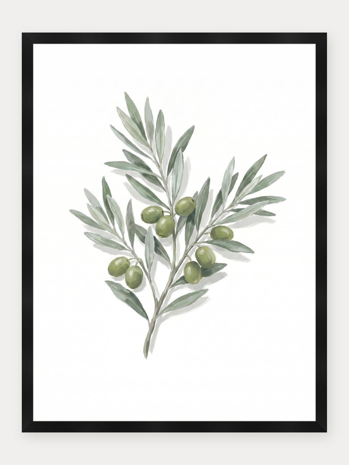 Olea